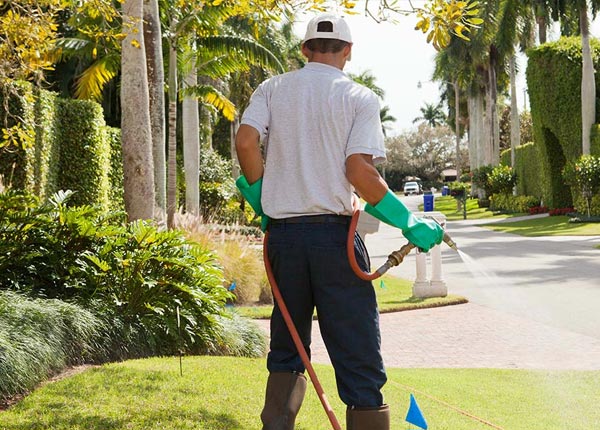 About Catalina AZ Pest Control